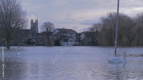 flooded riverside town park in later afternoon light, church, buildings, trees, lamp post, pair of mute swan