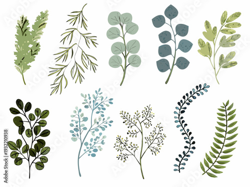 Collection of watercolor painted botanical illustrations of diverse foliage