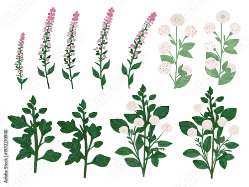 Delicate floral illustration featuring various pink and white wildflower arrangements