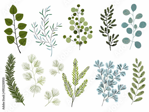 Assorted botanical illustrations of leaves and branches in muted tones