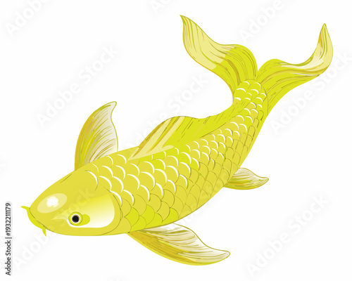 A vibrant yellow koi fish illustration with detailed scales and fins