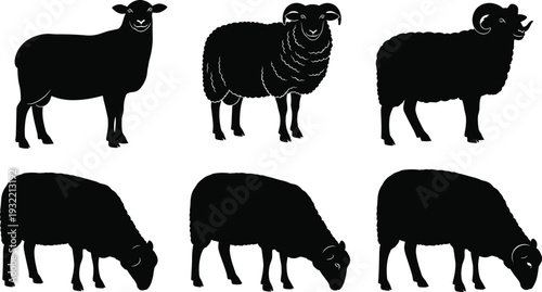 Sheep Silhouette Vector Set Featuring Ram Ewe and Lamb Grazing in Farm Field Isolated Black Icons for Agricultural Logo Design Illustrations