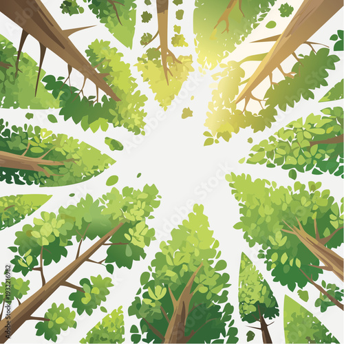 Looking up through the canopy of green trees in a sun-dappled forest from below