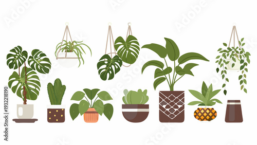 Stylized illustration of various hanging and potted indoor houseplants