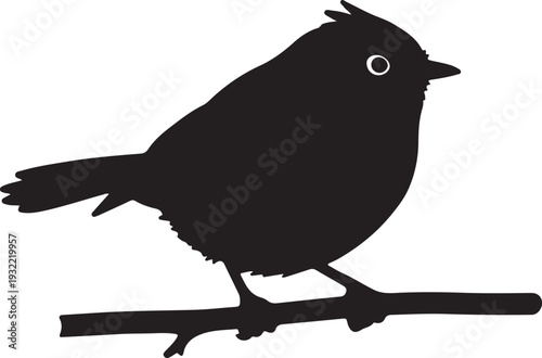 Goldcrest Kinglet in silhouette on white background.