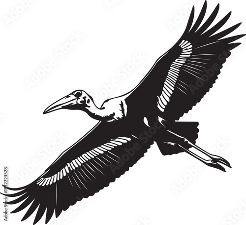 Marabou Stork Pelican in silhouette on white background.