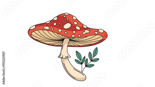 Detailed illustration of a red fly agaric mushroom with white spots and green leaves at its base on a plain white background.