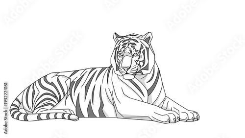 Majestic white tiger lying down with grey stripes and detailed fur in a realistic black and white animal illustration for wildlife.