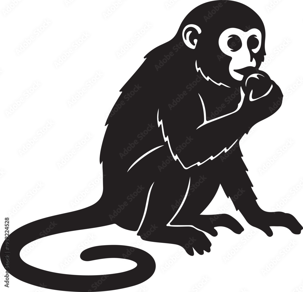 Obraz premium Owl monkey in silhouette.