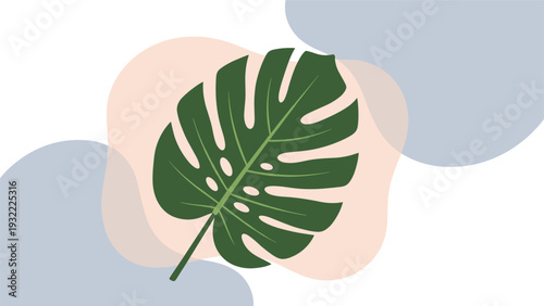 Minimalist botanical design showing a green monstera leaf centered on soft peach and blue abstract organic shapes.