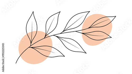 Minimalist botanical art piece featuring a delicate black line leaf branch over soft peach circular abstract shapes.