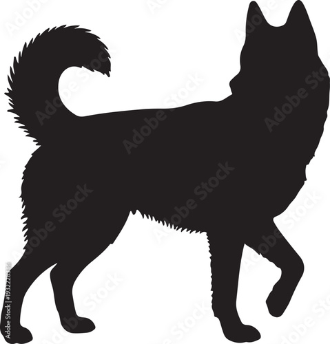  Siberian Husky in silhouette white backgruond.