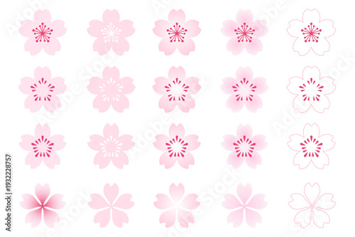 アレンジして使える桜の花の素材セット、白い透過背景、アイコン、ベクターイラスト