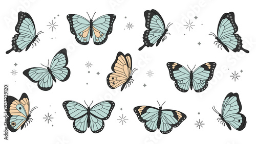 Extensive collection of diverse butterflies in various poses features teal and peach wing colors with sparkling star accents around them.