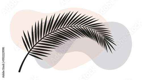Elegant black silhouette of a tropical palm leaf is set against a background of soft abstract pastel shapes for a minimalist look.