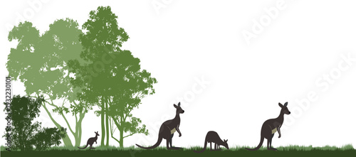 Silhouette of kangaroos grazing near gum trees in Australian outback landscape