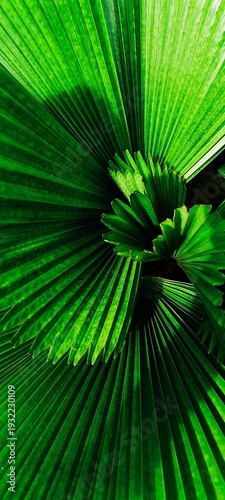 green abstract background
