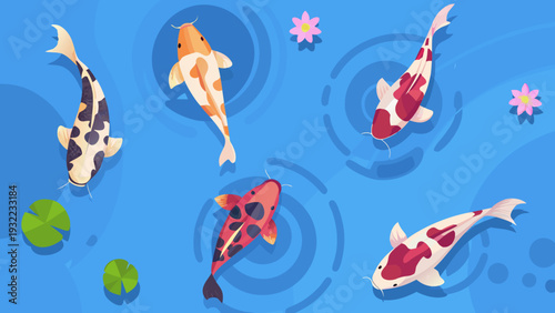 Colorful koi fish swim gracefully in a vibrant blue pond scene