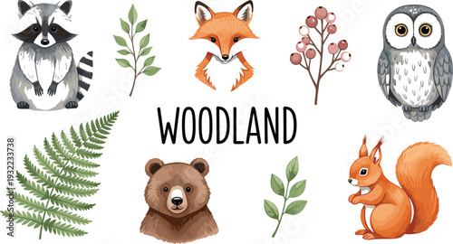 Woodland animals vector illustration set featuring raccoon, fox, owl, bear, squirrel, and forest plants, cute hand drawn nature elements isolated