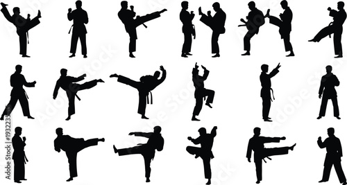 Karate fighter silhouette set, martial arts combat training poses vector illustration, taekwondo kick action athletes isolated defense collection