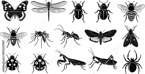 Black insect silhouette collection featuring butterfly, dragonfly, beetle, bee, mosquito, ant, moth, mantis and spider isolated on white background vector illustration set