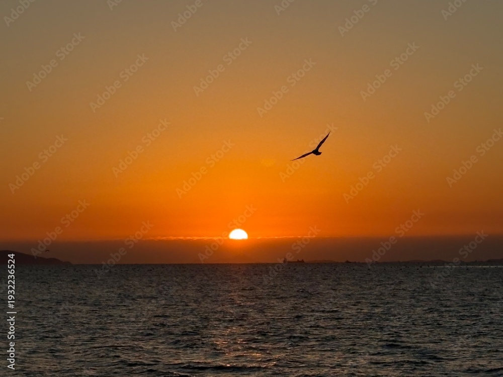 Fototapeta premium sunset on the beach