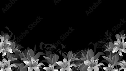 Elegant lilies bloom across the bottom of a grayscale image