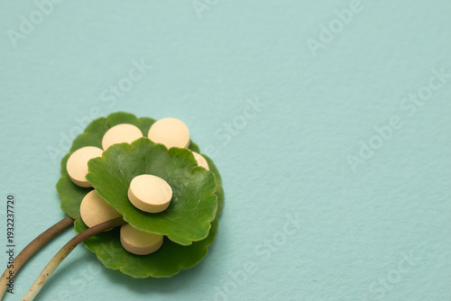 Minimal healthcare concept with pills and green leaves on blue background