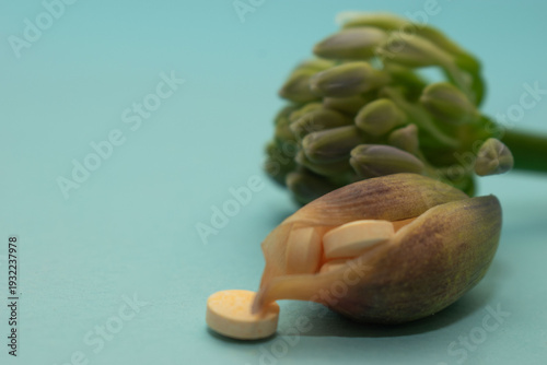 Soft healthcare composition combining tablets with floral bud suggesting healing, growth and wellness. Ideal for medical branding and advertising visuals.
