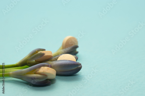 Soft healthcare composition combining tablets with floral bud suggesting healing, growth and wellness. Ideal for medical branding and advertising visuals.