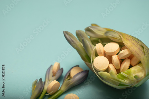 Soft healthcare composition combining tablets with floral bud suggesting healing, growth and wellness. Ideal for medical branding and advertising visuals.