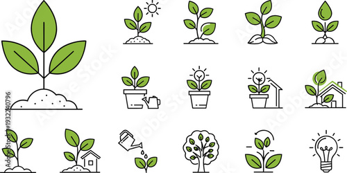 Plant Growth Stages Icon Set with Sprout Seedling Tree and Eco Development Line Vector Illustration Collection
