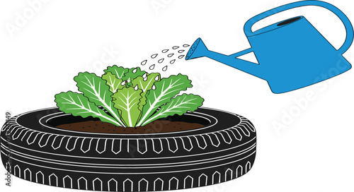 Watering Green Lettuce Plant Growing in Recycled Tire Planter Sustainable Urban Gardening Vector Illustration