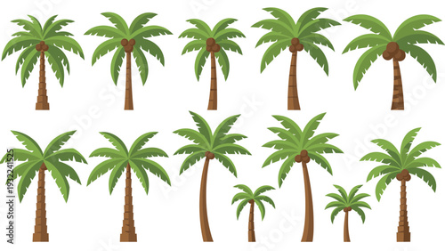 Collection of Diverse Palm Trees Vector Illustration, Tropical Flora Graphic, Summer Vacation and Resort Design Element