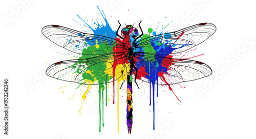 Colorful Dragonfly Splash Paint Abstract Art