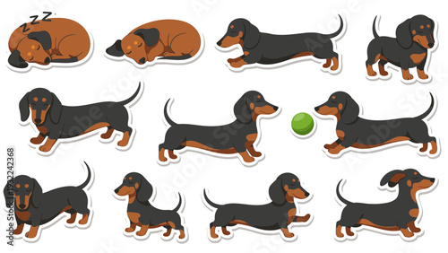 Dachshund Dog Sticker Pack Vector Illustration, Cute Cartoon Style, Isolated on White Background for Graphic Design and Decoration