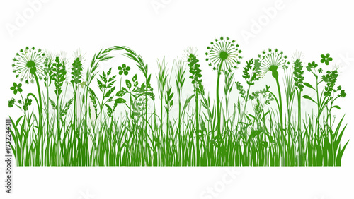 A vibrant green illustration of diverse wildflowers and long grasses