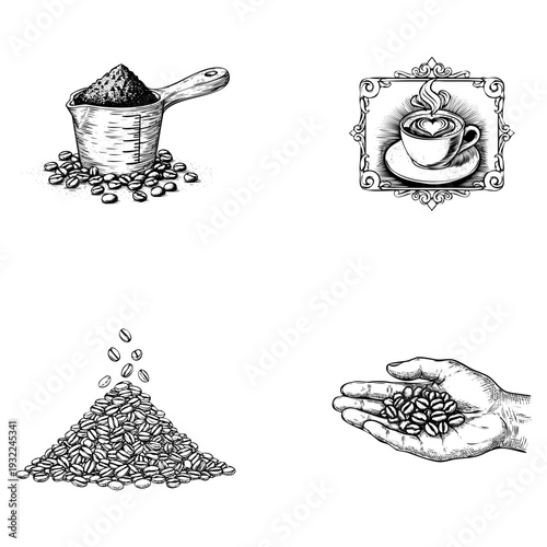 Retro engraving art Illustrations of coffee beans and coffee making process