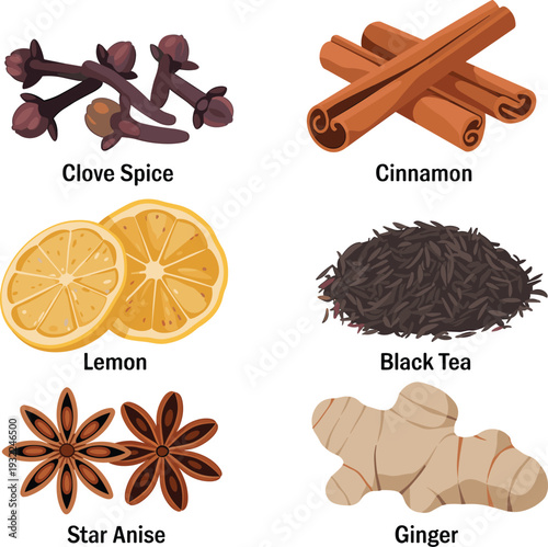 Flat vector illustration of clove, cinnamon, lemon, black tea, star anise and ginger isolated spice ingredient collection