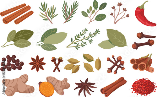 Flat vector spice and herb collection with cinnamon, rosemary, chili, clove, cardamom, ginger and star anise