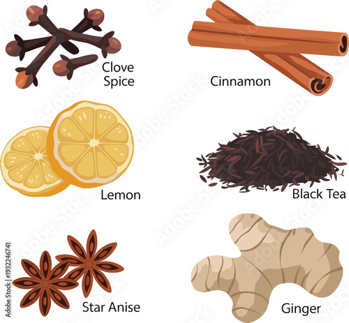 Flat vector spice collection with clove, cinnamon sticks, lemon slices, black tea, star anise and ginger isolated