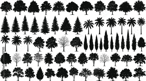 Large Collection of Black Tree Silhouettes Including Palm Pine Cypress and Deciduous Species for Landscape Design Architectural Visualization Outdoor Nature Graphics and Vector Illustration