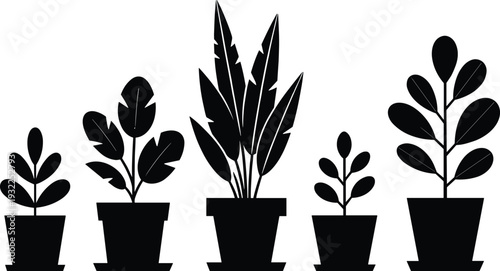 Black Houseplant Silhouettes Set in Pots Featuring Strelitzia Bird of Paradise Ficus and Tropical Leaf Species for Minimalist Home Interior Decor and Vector Design Assets