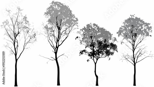 Silhouettes of various trees against a stark white background