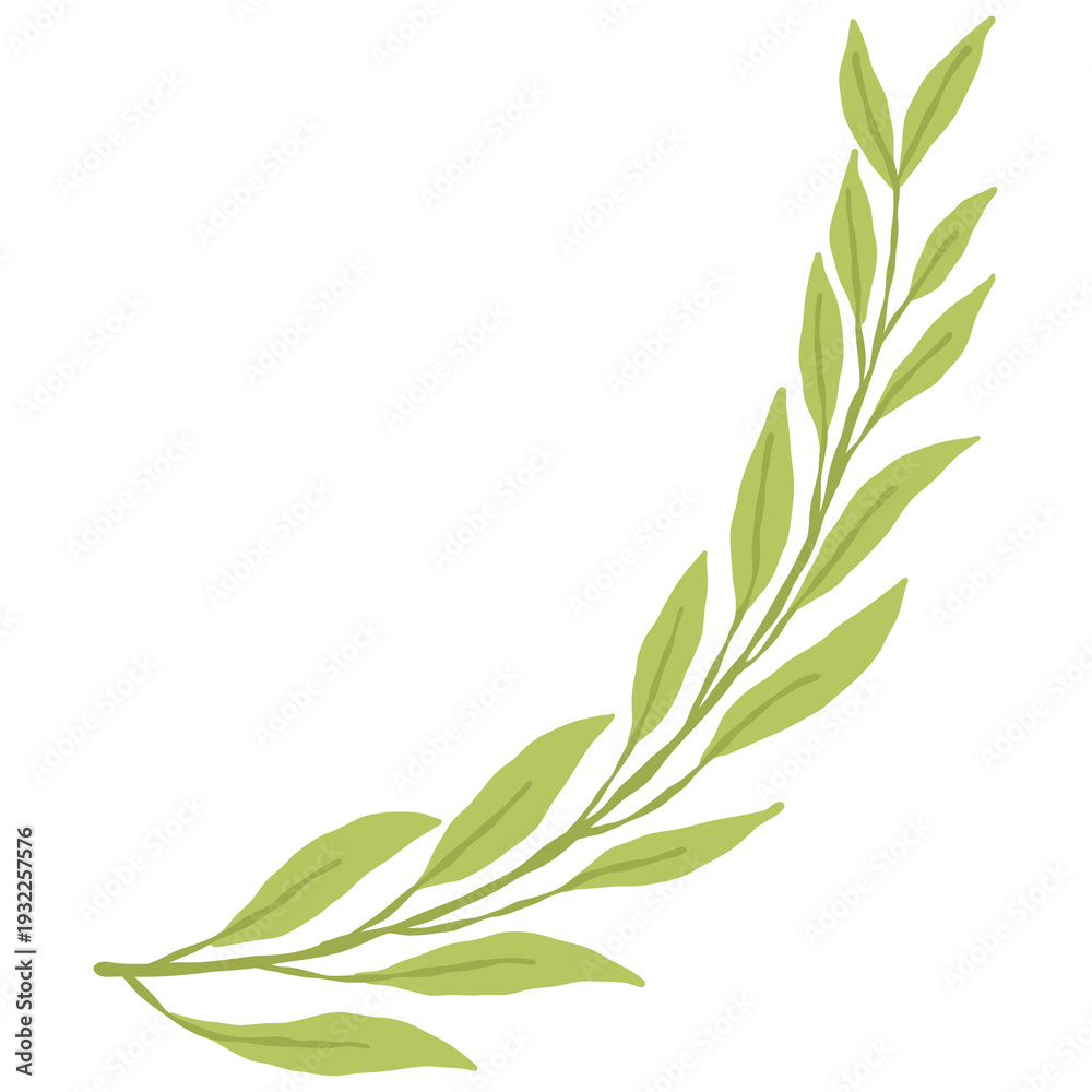 Obraz premium Hand Drawn Minimalist Green Leaf Branch Botanical Illustration Transparent Background