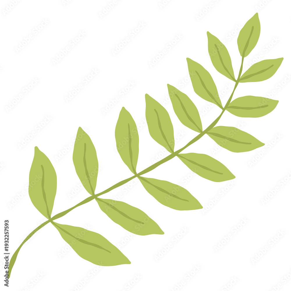 Fototapeta premium Hand Drawn Minimalist Green Leaf Branch Botanical Illustration Transparent Background