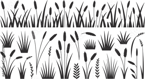 Grass and plant silhouette icon set with botanical decorative nature theme - black vector illustration collection