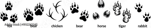 Animal footprint and track silhouettes collection including fox bear chicken horse tiger and rabbit paw prints