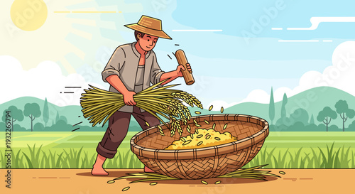 Farmer harvesting rice in a field.