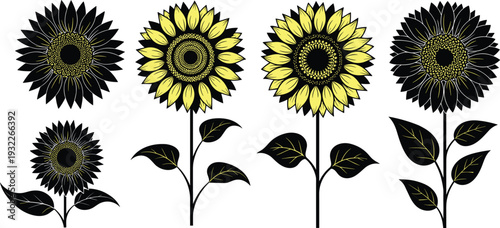 Hand drawn sunflower silhouette set with stems and leaves, yellow and black floral elements, botanical vector isolated on white background,